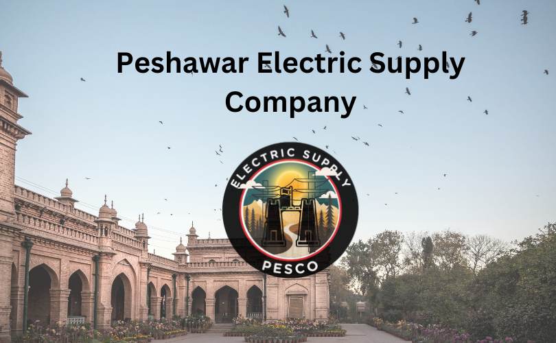 Peshawar Electric Supply Company
